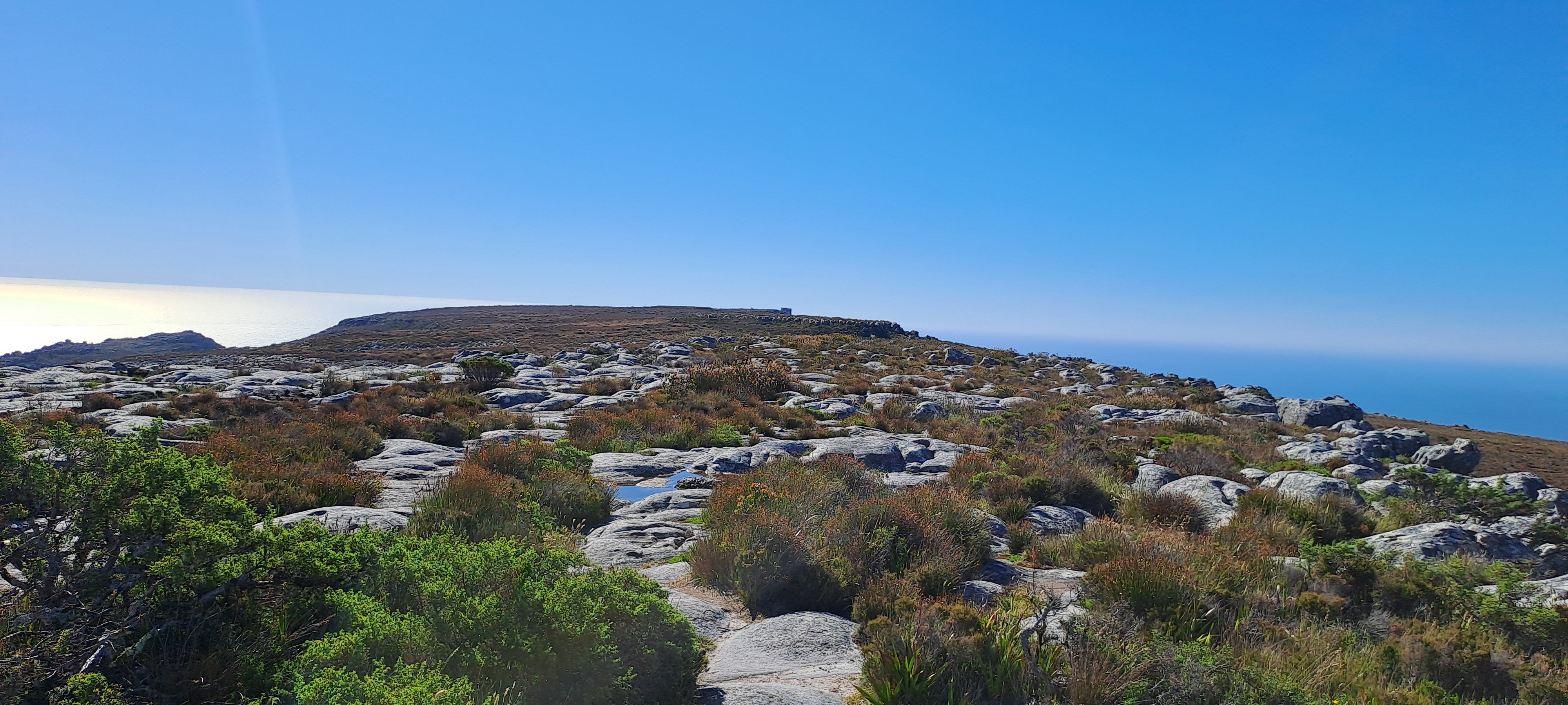 d'où le nom Table Mountain à 1000m d'altitude